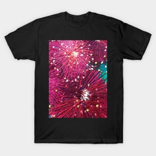 Deep Pink Australian Native Gum Flower Design by Leah Gay T-Shirt